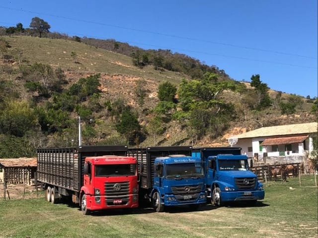 Chácara com 4840000m² 3 quartos e 1 banheiro, à venda, no bairro Zona Rural em Lagoinha