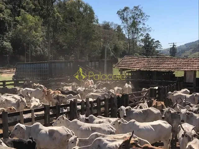 Chácara com 4840000m² 3 quartos e 1 banheiro, à venda, no bairro Zona Rural em Lagoinha