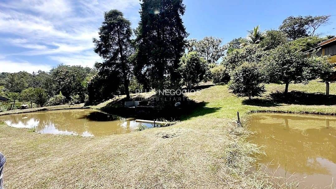 Chácara, 3 quartos, 1331 m² - Foto 4