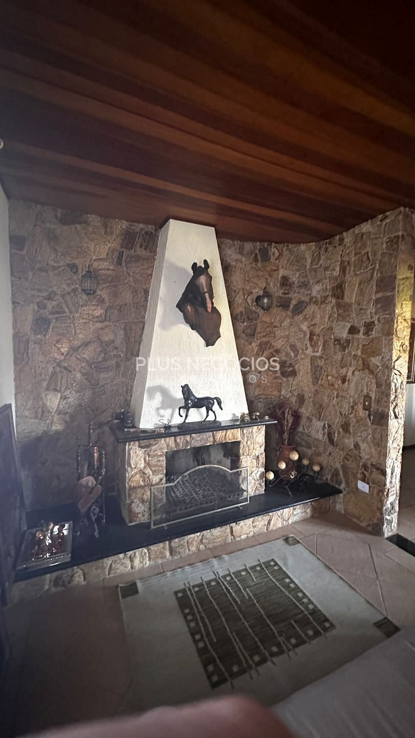 Chácara, 3 quartos, 4000 m² - Foto 9