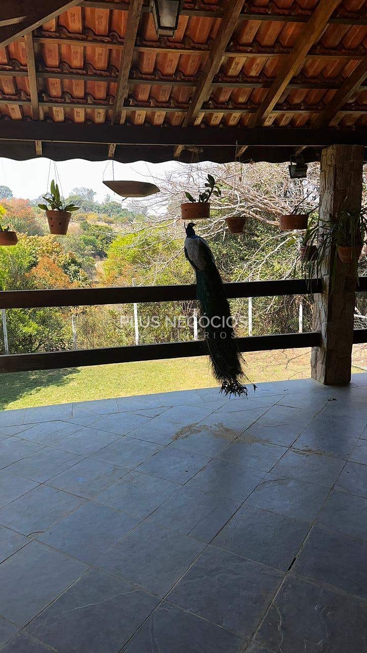 Chácara, 3 quartos, 4000 m² - Foto 5