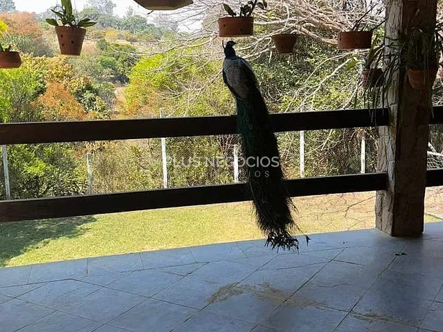 Chácara com 4000m² 3 quartos e 3 banheiros, à venda, no bairro Jundiaquara em Araçoiaba da Serra