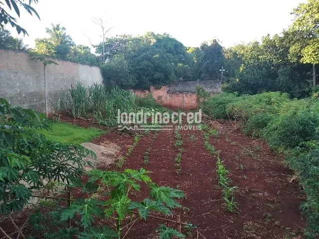 Chácara com 3000m², à venda, no bairro Jardim Marajoara em Ibiporã