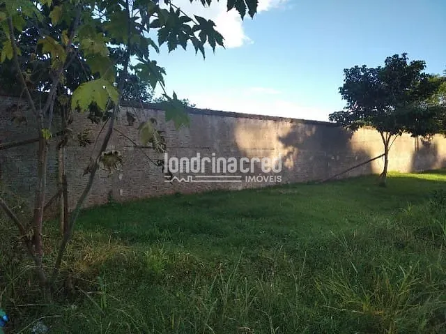 Sítio, 1 quarto, 3000 m² - Foto 6