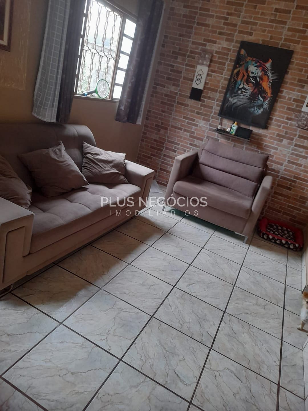 Chácara, 2 quartos, 1040 m² - Foto 14