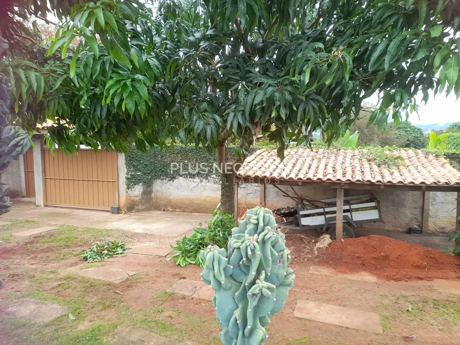 Chácara, 2 quartos, 1040 m² - Foto 17
