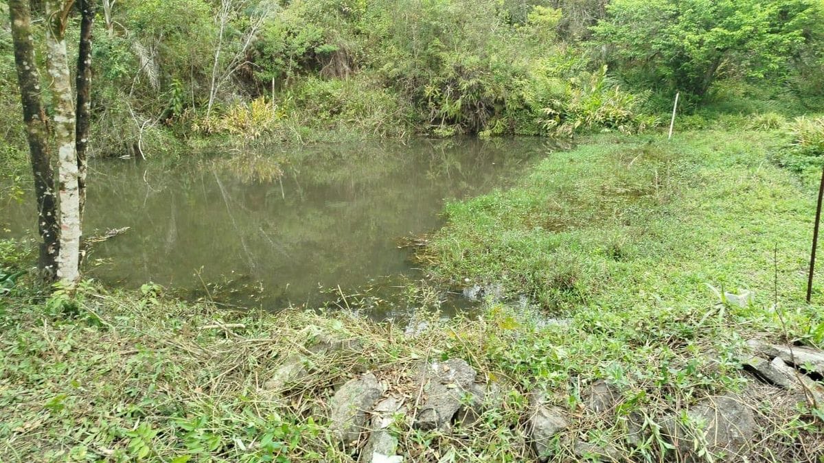 Chácara à venda, Taquacetuba, São Bernardo do Campo