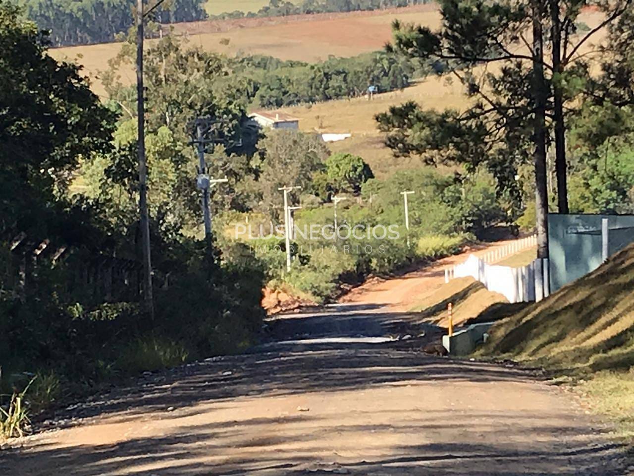 Chácara, 5 quartos, 8 hectares - Foto 12