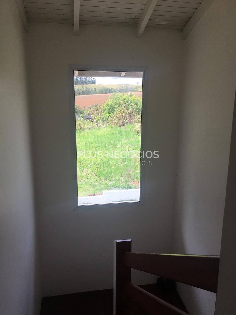 Chácara, 5 quartos, 8 hectares - Foto 19