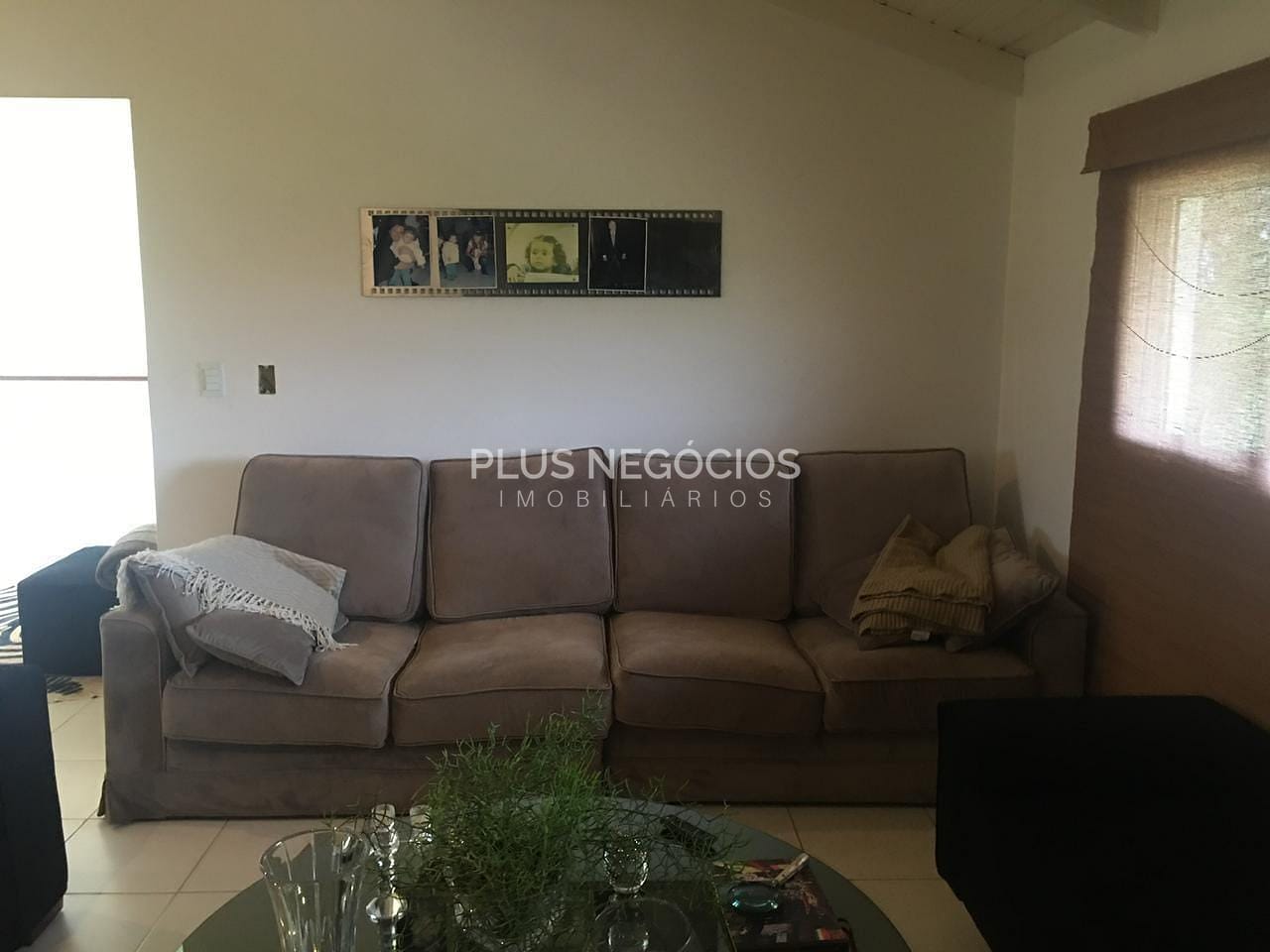 Chácara, 5 quartos, 8 hectares - Foto 20