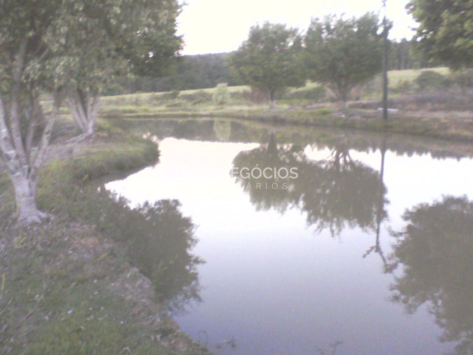 Chácara, 5 quartos, 8 hectares - Foto 23