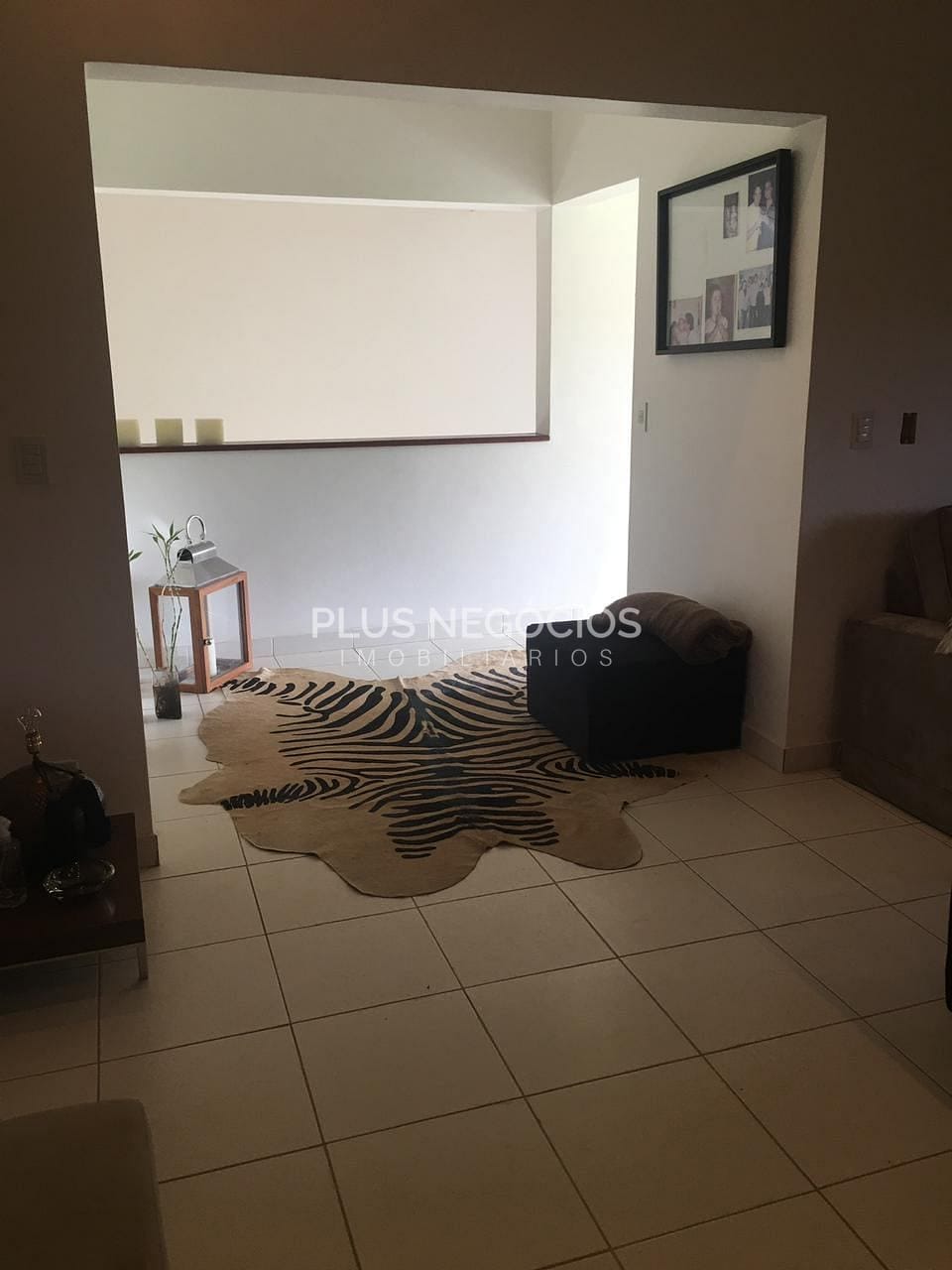 Chácara, 5 quartos, 8 hectares - Foto 24