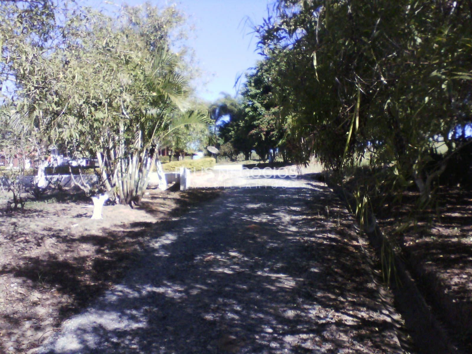 Chácara, 5 quartos, 8 hectares - Foto 31