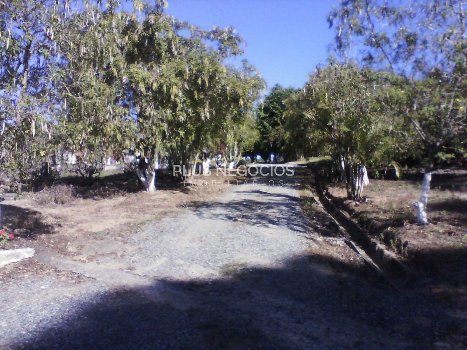 Chácara, 5 quartos, 8 hectares - Foto 34