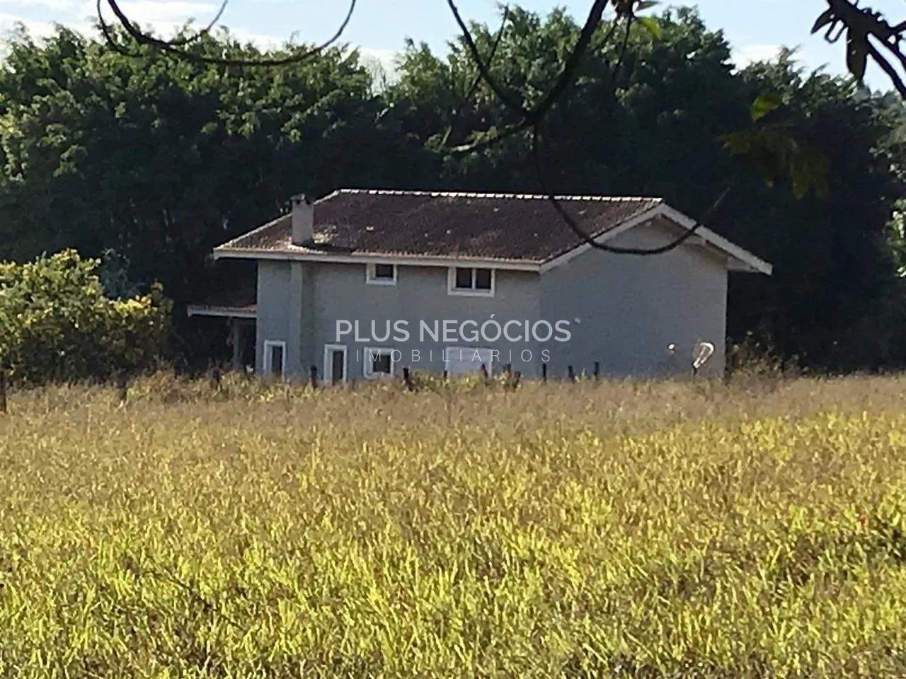 Chácara, 5 quartos, 8 hectares - Foto 11