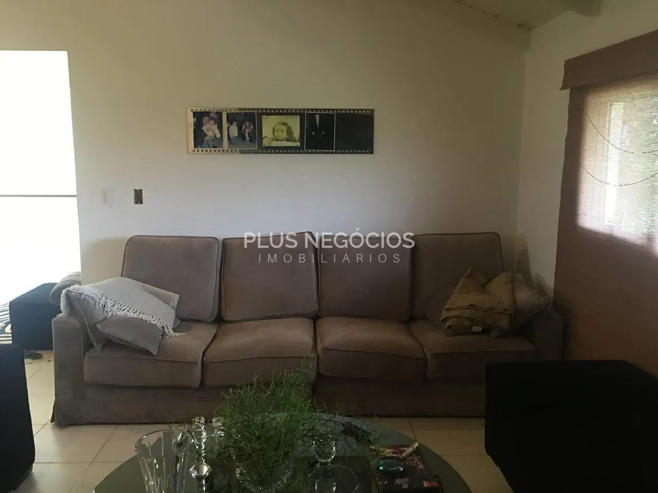 Chácara, 5 quartos, 8 hectares - Foto 20