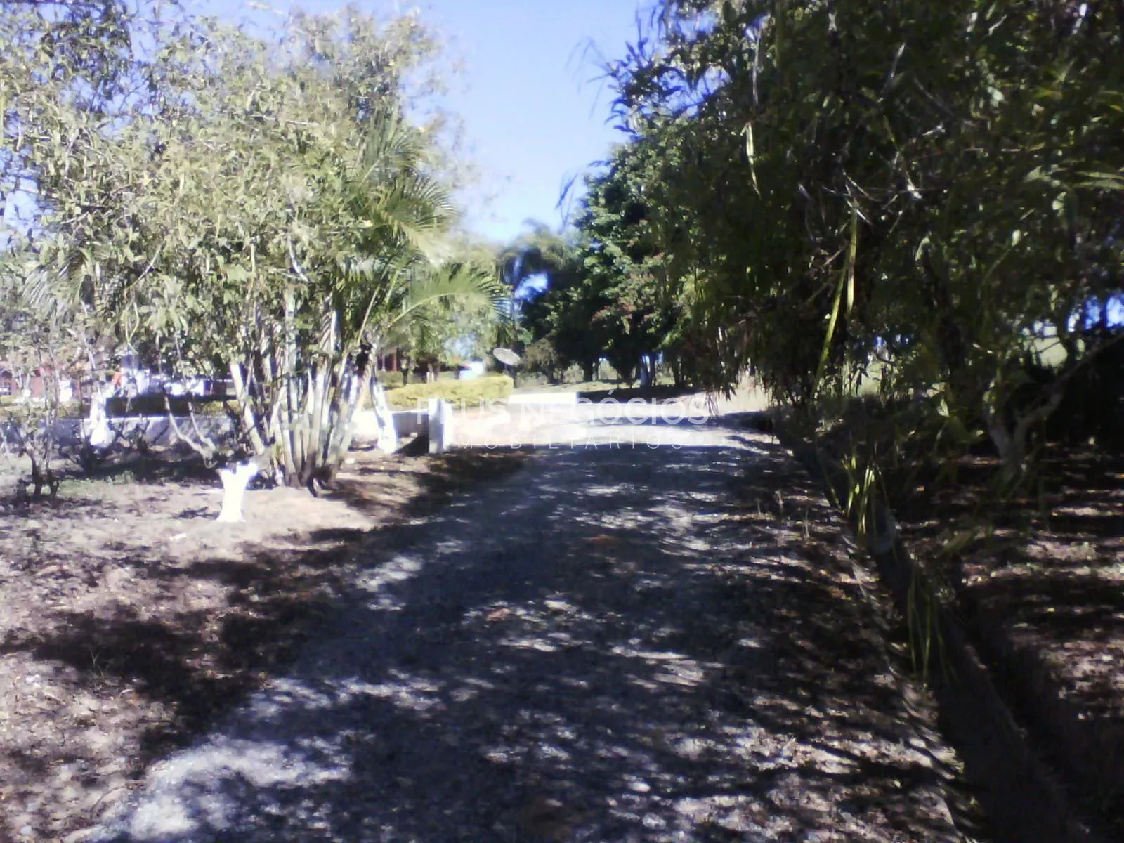 Chácara, 5 quartos, 8 hectares - Foto 31