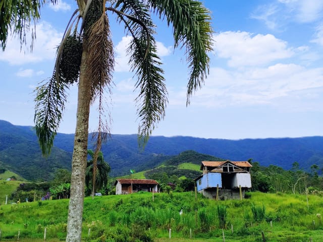 Chácara com 76000m², à venda, no bairro Ribeirão Grande em Pindamonhangaba