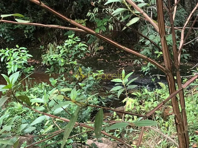 Chácara com 57596m² 1 quarto e 1 banheiro, à venda, no bairro Pinga em Pindamonhangaba