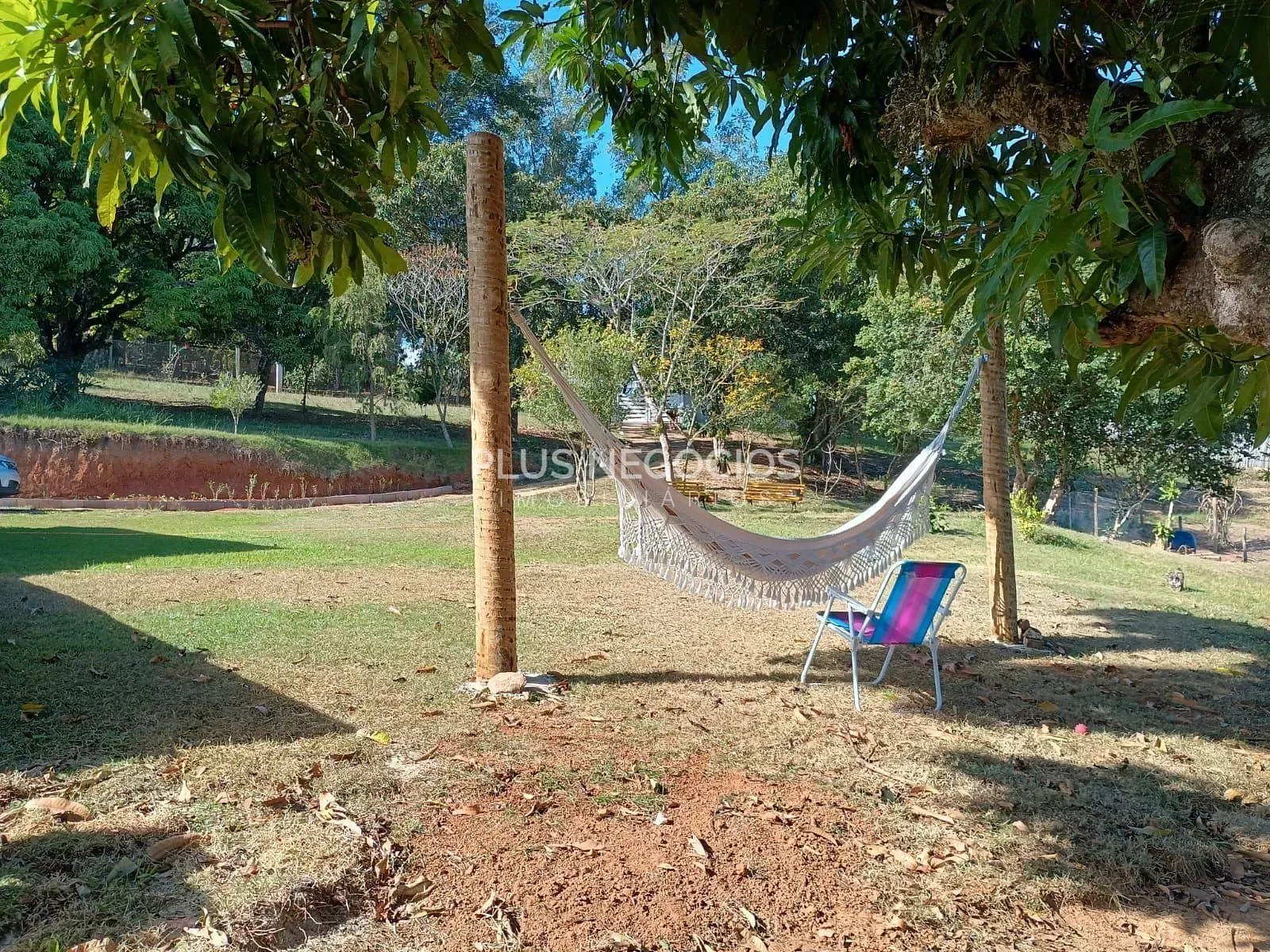Sítio, 3 quartos, 2 hectares - Foto 12