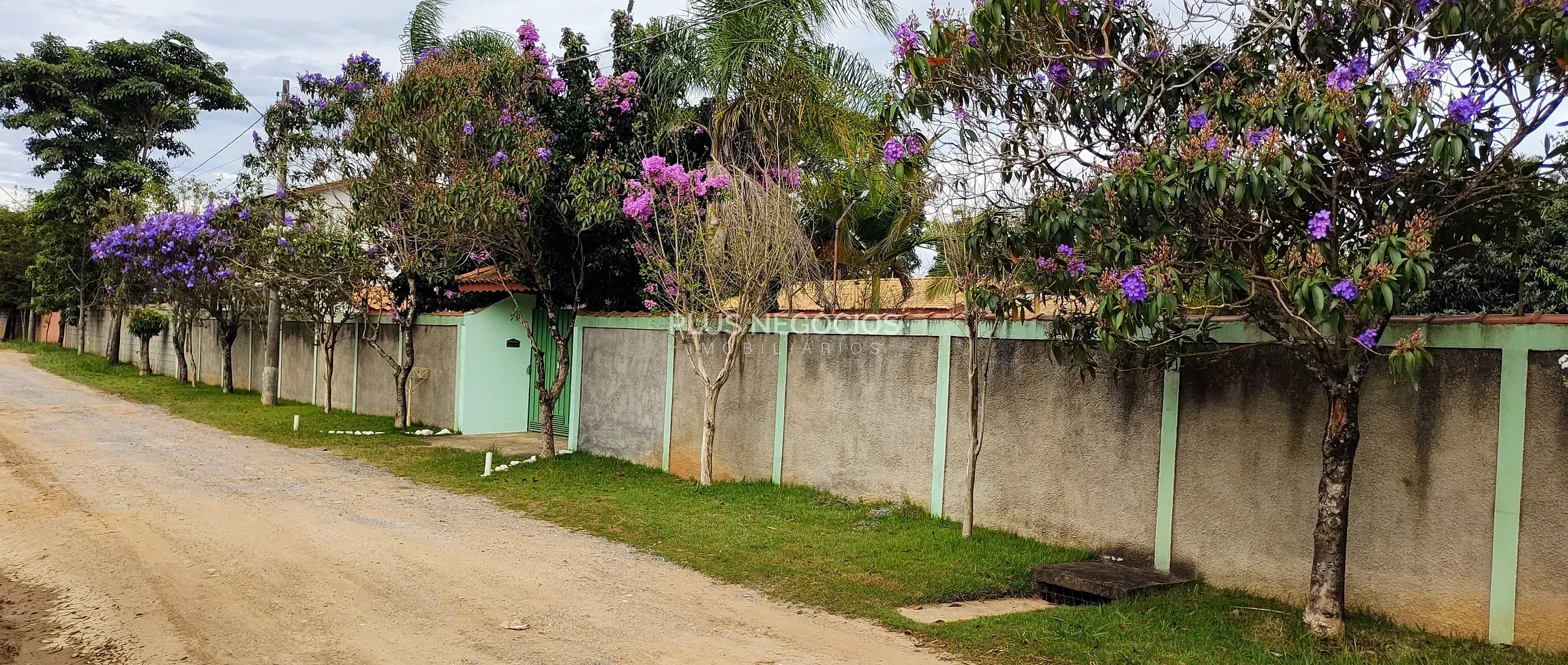 Sítio, 2 quartos, 1200 m² - Foto 4