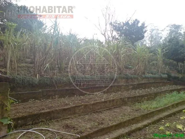 Sítio, 4 quartos, 3 hectares - Foto 38