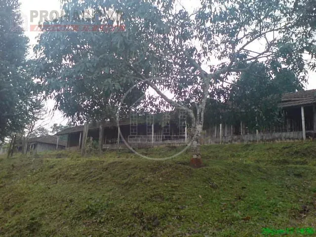 Sítio, 4 quartos, 3 hectares - Foto 39