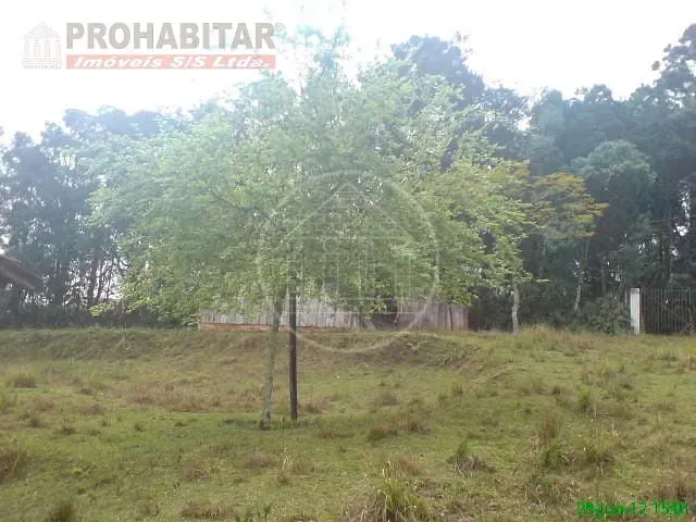 Sítio, 4 quartos, 3 hectares - Foto 45