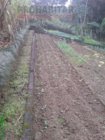 Sítio, 4 quartos, 3 hectares - Foto 35