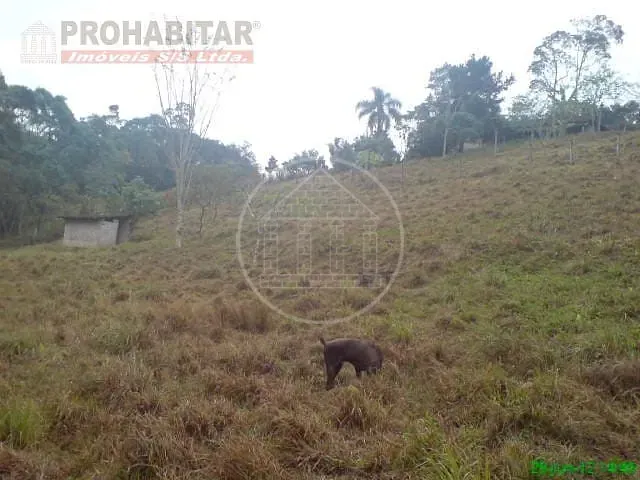 Sítio, 4 quartos, 3 hectares - Foto 33