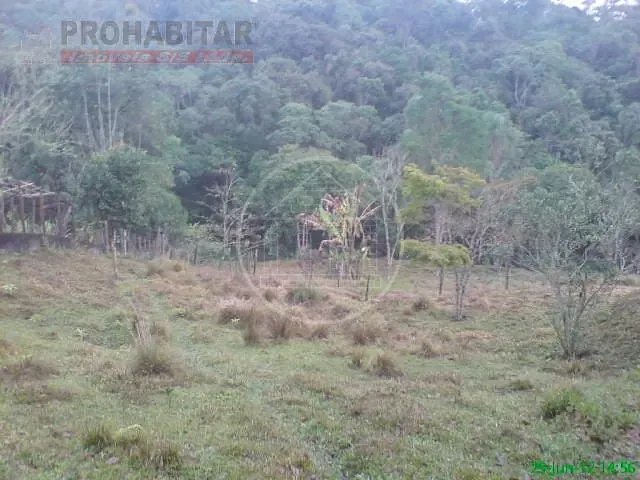 Sítio, 4 quartos, 3 hectares - Foto 40