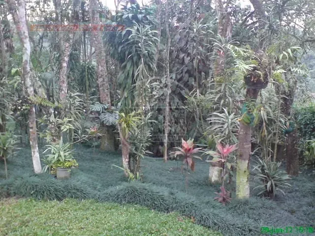 Sítio, 4 quartos, 3 hectares - Foto 19