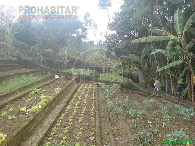 Sítio, 4 quartos, 3 hectares - Foto 37