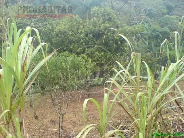 Sítio, 4 quartos, 3 hectares - Foto 25
