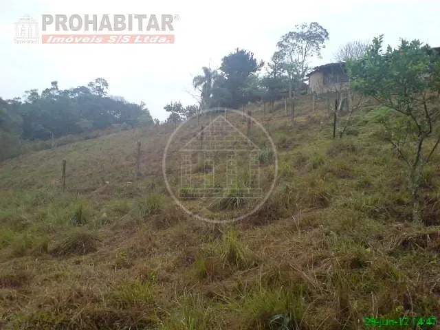 Sítio, 4 quartos, 3 hectares - Foto 28