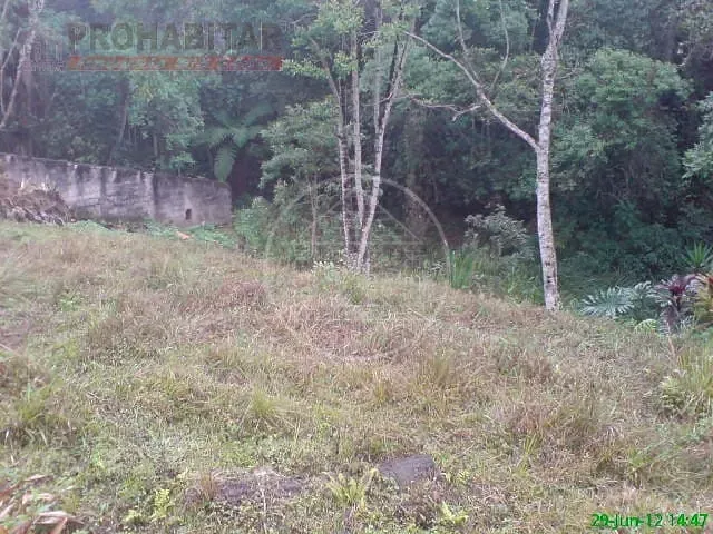 Sítio, 4 quartos, 3 hectares - Foto 29