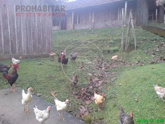 Sítio, 4 quartos, 3 hectares - Foto 43