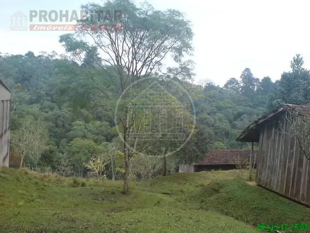 Sítio, 4 quartos, 3 hectares - Foto 47