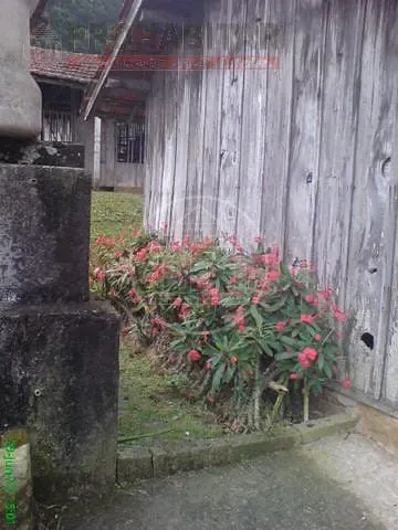 Sítio, 4 quartos, 3 hectares - Foto 46