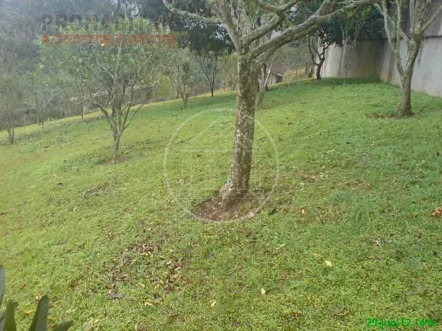 Sítio, 4 quartos, 3 hectares - Foto 22