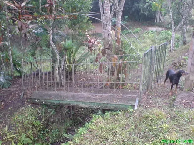 Sítio, 4 quartos, 3 hectares - Foto 31