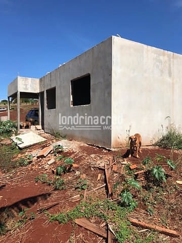 Sítio, 1 quarto, 1250 m² - Foto 4