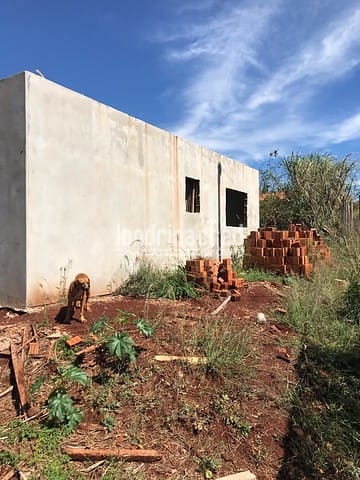 Sítio, 1 quarto, 1250 m² - Foto 3