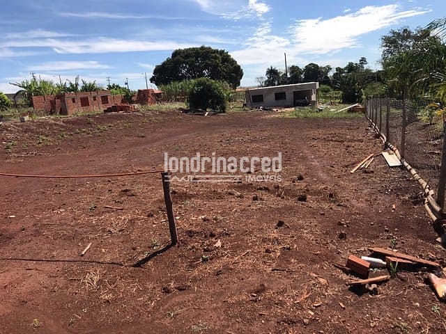 Sítio, 1 quarto, 1250 m² - Foto 11