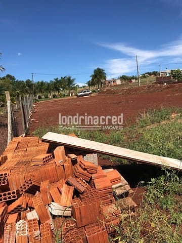 Sítio, 1 quarto, 1250 m² - Foto 2