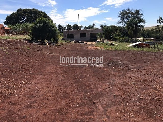 Sítio, 1 quarto, 1250 m² - Foto 10