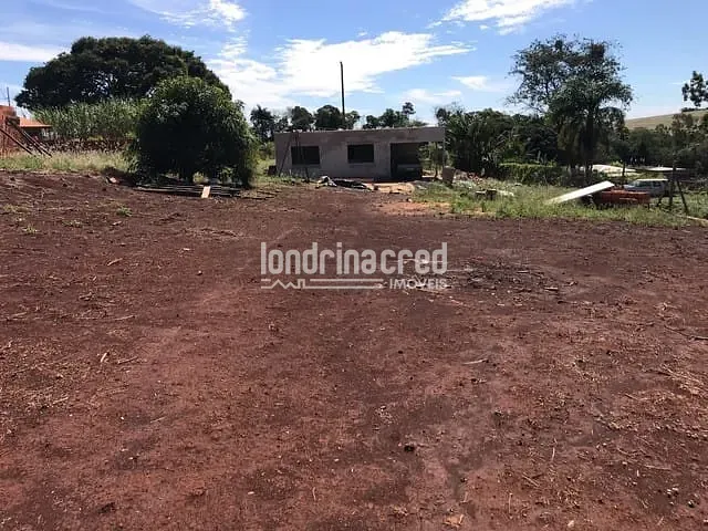 Sítio, 1 quarto, 1250 m² - Foto 10