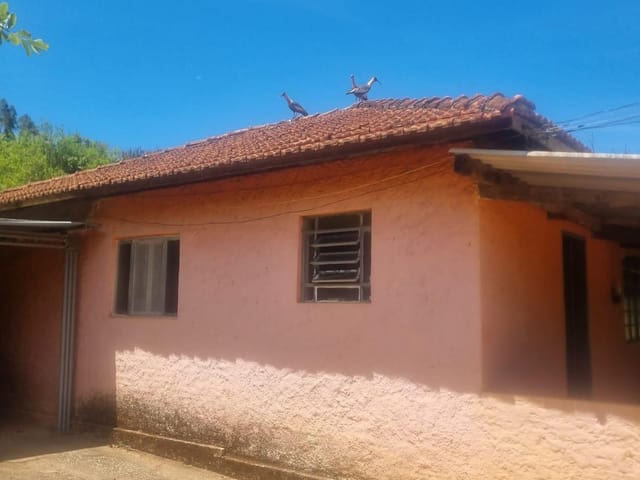Chácara com 33000m² 2 quartos e 2 banheiros, à venda, no bairro BOA VISTINHA em Estiva