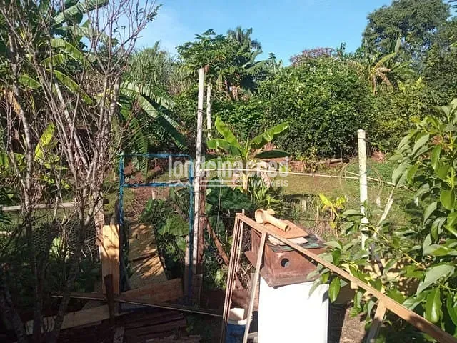 Sítio, 2 quartos, 1230 m² - Foto 6