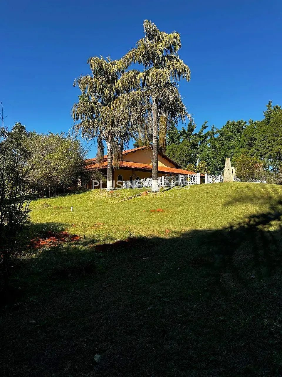Sítio, 3 quartos, 4000 m² - Foto 26